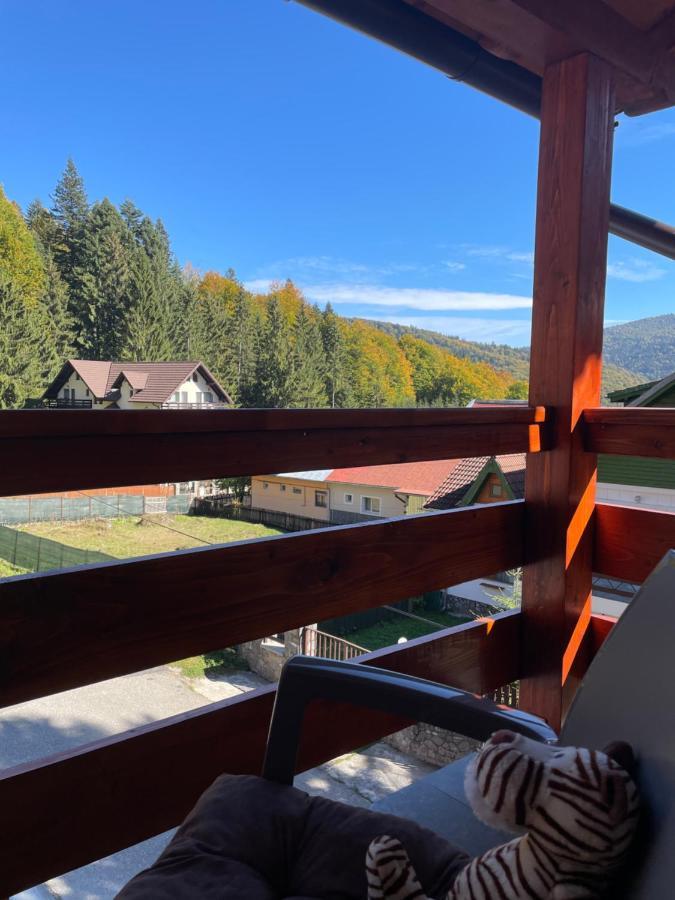 Apartament Lexannona Busteni Luaran gambar