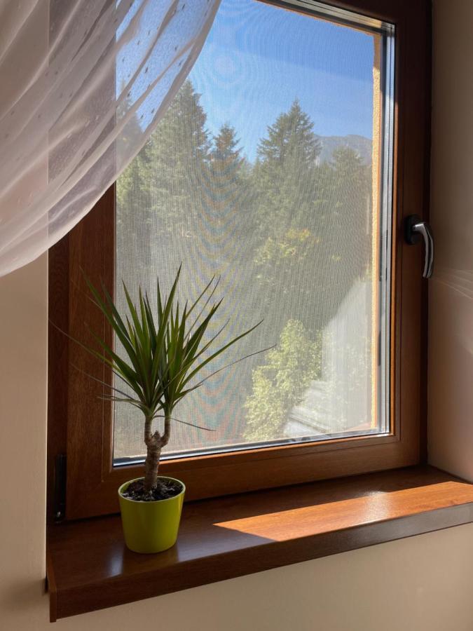 Apartament Lexannona Busteni Luaran gambar
