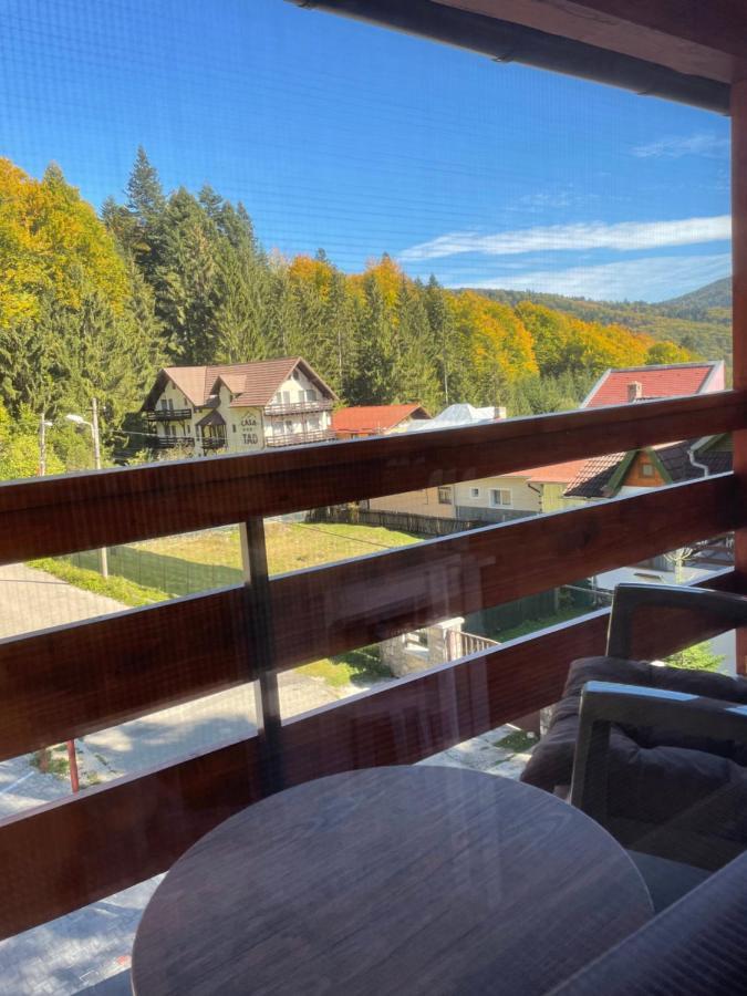 Apartament Lexannona Busteni Luaran gambar