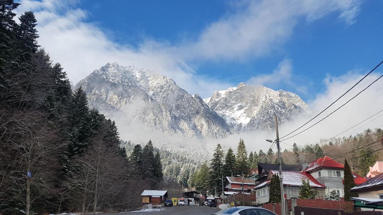 Apartament Lexannona Busteni Luaran gambar